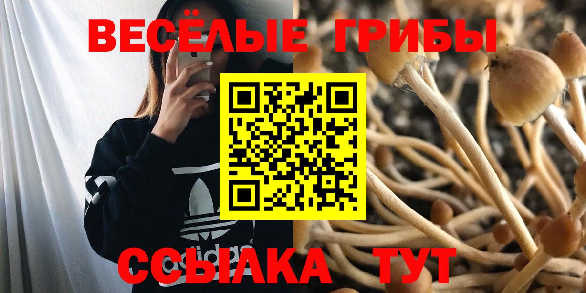 продажа наркотиков  Вход с VPN  Муравленко  Псилоцибиновые грибы мухоморы  Псилоцибиновые грибы GOLDEN TEACHER 