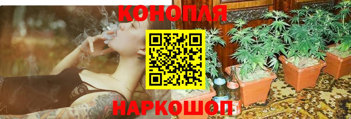 МАРИХУАНА тримм  Бошки марихуана ГИДРОПОН  Муравленко  Канабис THC 21%  Вход с VPN 